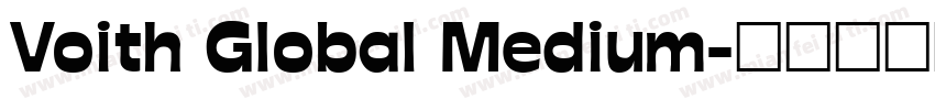 Voith Global Medium字体转换
